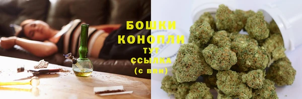 тгк Арсеньев