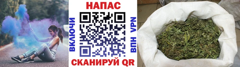 Конопля MAZAR Балтийск